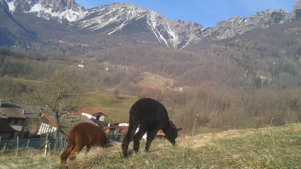 Casa Da 2 A 7 Posti Nelle Piccole Dolomiti Villa Recoaro Terme Eksteriør billede