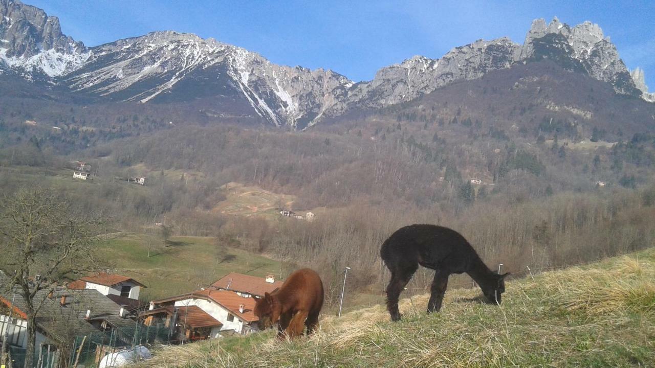 Casa Da 2 A 7 Posti Nelle Piccole Dolomiti Villa Recoaro Terme Eksteriør billede